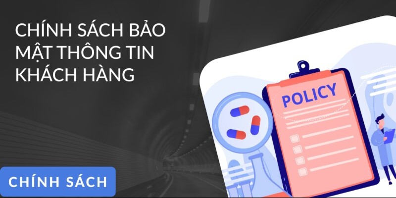 Nhà cái thu thập thông tin nhằm cải thiện dịch vụ