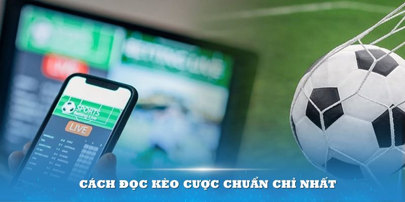 Cách đọc kèo cược chuẩn chỉ nhất