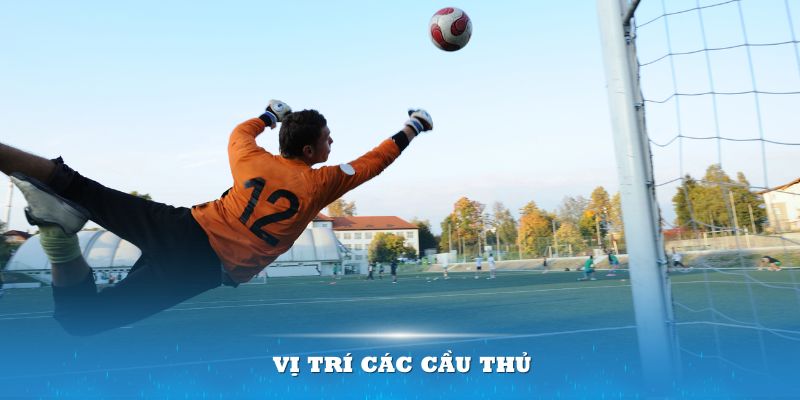 Vị trí các cầu thủ đóng một vai trò quan trọng mà người chơi cần nắm được